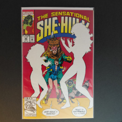 Marvel The Sensational...