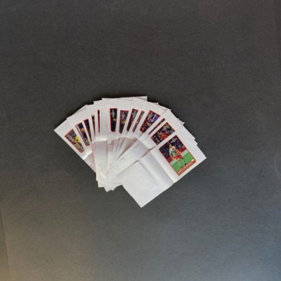 Coca-Cola / Panini Euro...