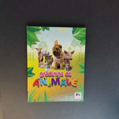 Mega Image Gradinita De...