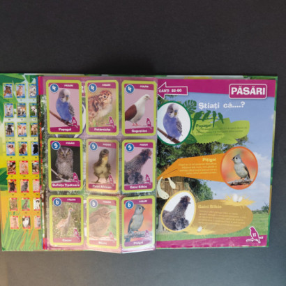 Mega Image Gradinita De...