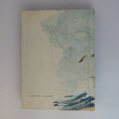 Cormoran Capitaine Corsaire