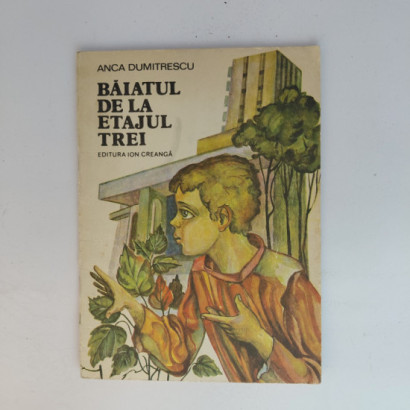 Baiatul De La Etajul Trei