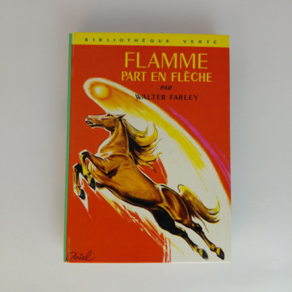 Flamme Part En Fleche