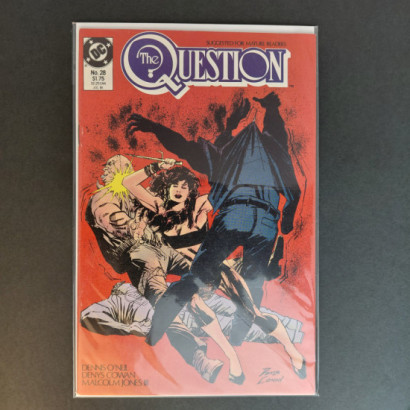 DC The Question No.28