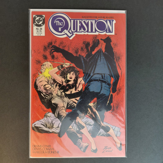 DC The Question No.28
